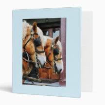 Clydesdale Closeup Binders