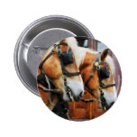 Clydesdale Closeup Button