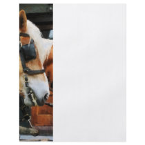 Clydesdale Closeup Personalized Flyer