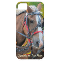 Clydesdale Draught   Horse-lover's iPhone 5 Case