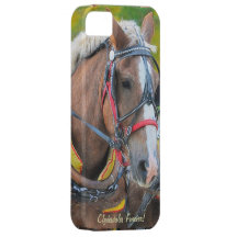 Clydesdale Draught   Horse-lover's iPhone 5 Case