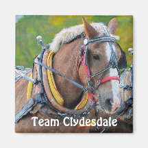 Clydesdale Draught   Horse Team Magnetic Art Gift