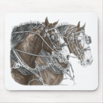 Clydesdale Draught   Horse Team
