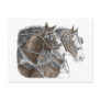 Clydesdale Draught   Horse Team