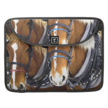 Clydesdale Draught   Horses 15" MacBook Sleeve MacBook Pro Sleeve
