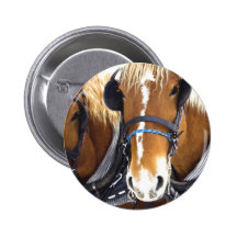 Clydesdale Draught   Horses Button