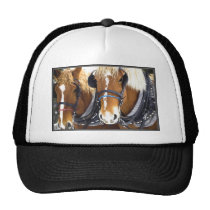 Clydesdale Draught   Horses Hat hats