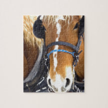 Clydesdale Draught   Horses Puzzle