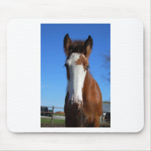Clydesdale filly mouse pads