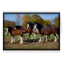 clydesdale group card