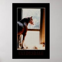 Clydesdale majestueux affiches