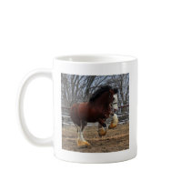 Clydesdale stud colt running mugs