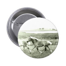 Clydesdales Buttons