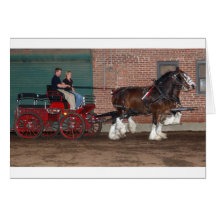Clydesdales cart greeting cards