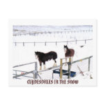CLYDESDALES IN THE SNOW postcards