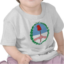 Coa Tucuman Province Argentina, Argentina flag Shirts