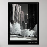 Coal Harbour #16 Posters