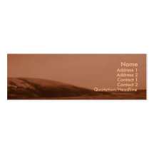 Coast Business Card