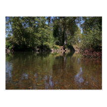 Coast Fork Willamette Postcards