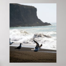 Coast poster