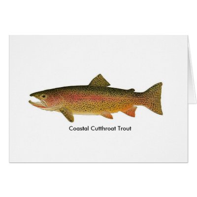 Coastal Cutthroat Trout Cards by BIGDEWY