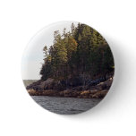 Coastal Pines