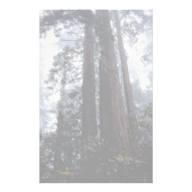 Coastal Redwoods, Lady Bird Johnson Grove, Califor Stationery Design