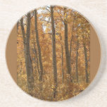 Coaster - Awsome Amber
