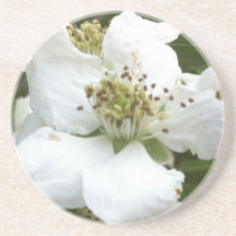 Coaster - Blackberry Bloom