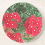 coaster gardenia love