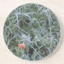Coaster: Kissed by Jack Frost