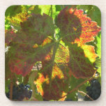 Coaster set - Grape leaf cork coasters