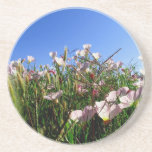 Coaster - Wildflowers coasters
