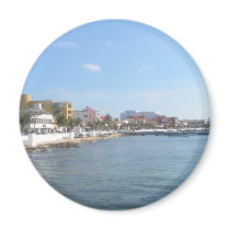 Coastline of Cozumel Mexico Fridge Magnet
