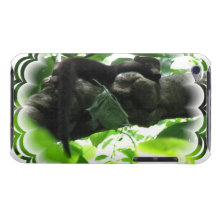 Coati  iTouch Case Barely There iPod Cover
