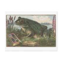 Coats Thread Frog Trading Card Postcard