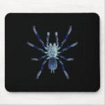 Cobalt Blue Tarantula Mouse Pads