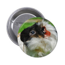 Cobaye Chewie Badge
