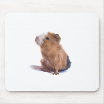 cobaye tapis de souris