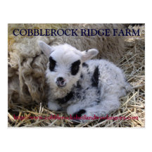 COBBLEROCK RIDGE FARM POST CARD