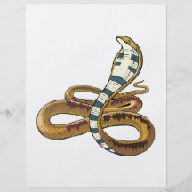 cobra full color flyer