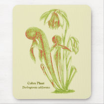 Cobra Plan, Carnivorous Plant