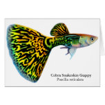 Cobra Snakeskin Guppy Card