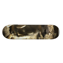 coca loco skate board decks