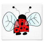 Coccinelle Art Photographique