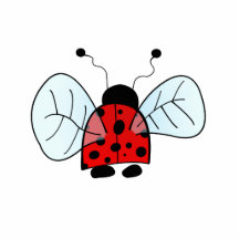 Coccinelle Photo En Découpe