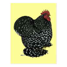 Cochin:  Black Mottle Postcards