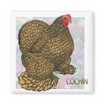 Cochin:  Gold-laced Hen Refrigerator Magnet