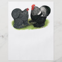 Cochins :  Argent-écrit au crayon Prospectus Personnalisés