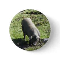 Cochon Badge